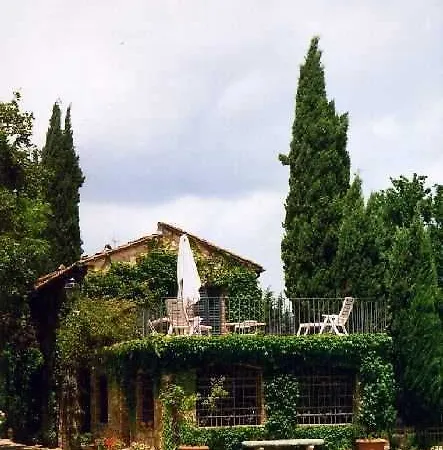 Terrazza E Libreria