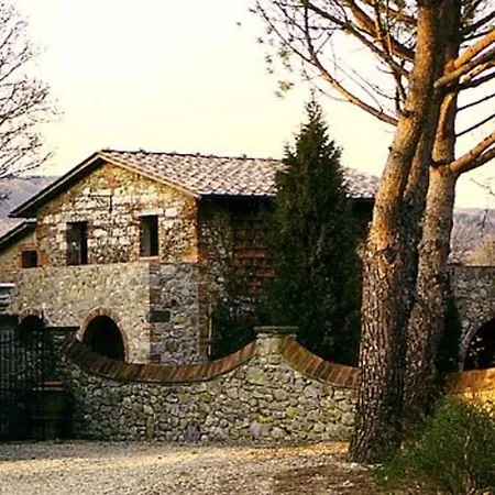Terrazza E Libreria