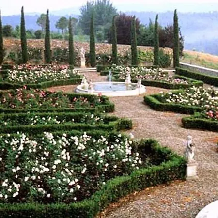 Terrazza E Libreria Monte Benichi